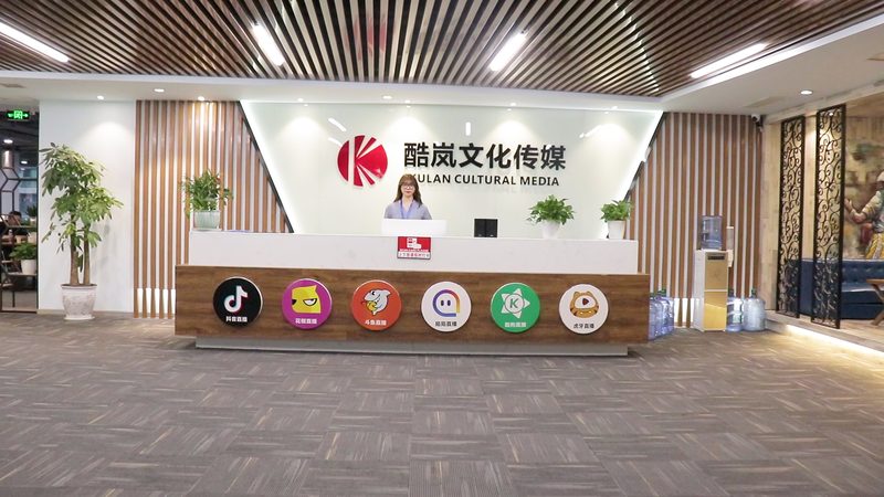 上海品牌设计流程：揭秘高效品牌塑造步骤